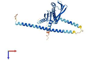 AlphaFold protein structure predicition of Human Recombinant CENPO Protein, UniprotID Q9BU64