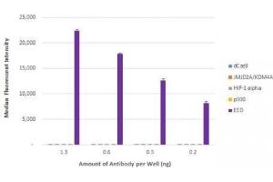 EED antibody (rAb) tested by Luminex bead-based specificity analysis. (Recombinant EED anticorps)