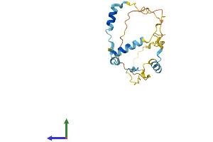 AlphaFold protein structure predicition of Human Recombinant MEA1 Protein, UniprotID Q16626