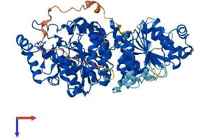 AlphaFold protein structure predicition of Human Recombinant HDAC10 Protein, UniprotID Q969S8