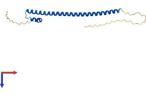 AlphaFold protein structure predicition of Human Recombinant MAFG Protein, UniprotID O15525