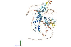 AlphaFold protein structure predicition of Human Recombinant ZNF837 Protein, UniprotID Q96EG3