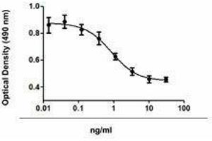 Flow Cytometry (FACS) image for Transforming Growth Factor, beta 2 (TGFB2) (AA 303-414) (Active) protein (ABIN2667582)