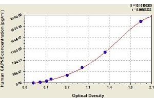 Typical Standard Curve (Calpain 5 Kit ELISA)