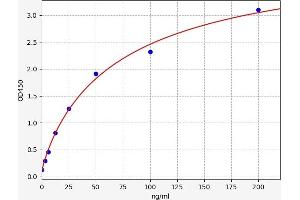 Complement Factor B (CFB) ELISA Kit