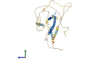 AlphaFold protein structure predicition of Human Recombinant MITF Protein, UniprotID O75030