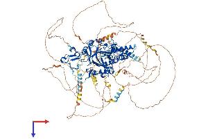 AlphaFold protein structure predicition of Human Recombinant PHF2 Protein, UniprotID O75151