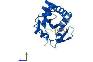 AlphaFold protein structure predicition of Human Recombinant NXNL2 Protein, UniprotID Q5VZ03