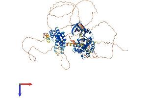 AlphaFold protein structure predicition of Human Recombinant TTK Protein, UniprotID P33981
