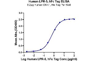 Immobilized Human DKK1, His Tag at 2 μg/mL (100 μL/well) on the plate.