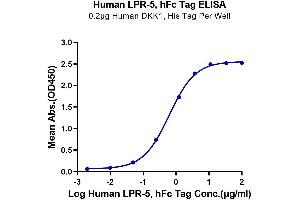 Immobilized Human DKK1, His Tag at 2 μg/mL (100 μL/well) on the plate. (LRP5 Protein (AA 644-1263) (Fc Tag))