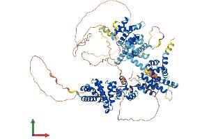AlphaFold protein structure predicition of Human Recombinant EIF4G2 Protein, UniprotID P78344