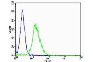 Flow cytometric analysis of NIH/3T3 cells using Mouse Csnk1g3 Antibody (C-term)(green, Cat(ABIN657833 and ABIN2846798)) compared to an isotype control of rabbit IgG(blue).