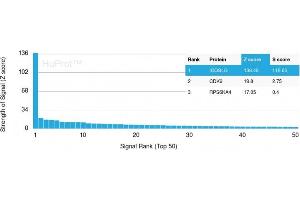 Analysis of Protein Array containing more than 19,000 full-length human proteins using ICOS-L Mouse Monoclonal Antibody (ICOSL/3111).
