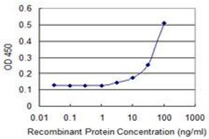 anti-Fast Skeletal Troponin I (TNNI2) (AA 2-100) antibody