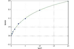 A typical standard curve (LACTB Kit ELISA)