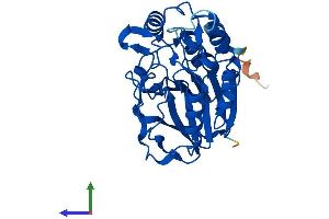 AlphaFold protein structure predicition of Human Recombinant MPPED2 Protein, UniprotID Q15777
