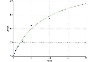 Transgelin 3 (TAGLN3) ELISA Kit