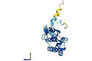 AlphaFold protein structure predicition of Mouse Recombinant Gins3 Protein, UniprotID Q9CY94