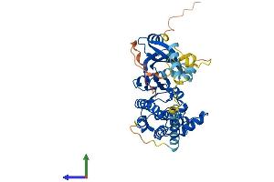 AlphaFold protein structure predicition of Human Recombinant PHKG2 Protein, UniprotID P15735