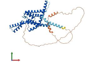 AlphaFold protein structure predicition of Human Recombinant KCNK3 Protein, UniprotID O14649