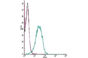 Cell surface detection of CXCR4 by indirect flow cytometry in live intact human Jurkat T-cell leukemia cells:  (black line) Cells.