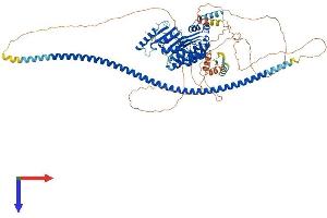 AlphaFold protein structure predicition of Human Recombinant FBXO41 Protein, UniprotID Q8TF61