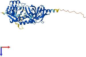 AlphaFold protein structure predicition of Human Recombinant TRMU Protein, UniprotID O75648
