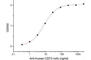 ELISA image for 5'-Nucleotidase, Ecto (CD73) (NT5E) (Active) protein (His tag) (ABIN7319774)