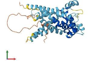 AlphaFold protein structure predicition of Human Recombinant SLC25A37 Protein, UniprotID Q9NYZ2