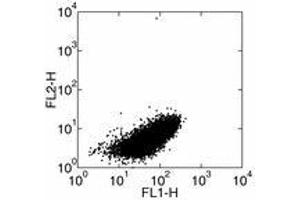 Image no. 2 for anti-Interleukin 1 alpha (IL1A) antibody (FITC) (ABIN473783) (IL1A anticorps  (FITC))