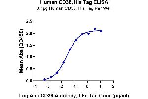 Immobilized Human CD38, His Tag at 1 μg/mL (100 μL/Well) on the plate.