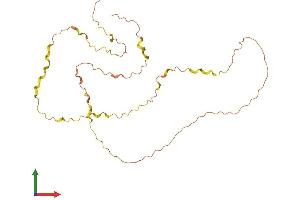 AlphaFold protein structure predicition of Human Recombinant BBC3 Protein, UniprotID Q96PG8