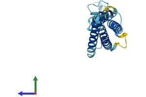 AlphaFold protein structure predicition of Mouse Recombinant Marveld1 Protein, UniprotID Q7TQJ1