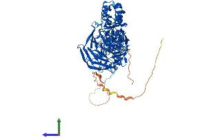AlphaFold protein structure predicition of Mouse Recombinant Klhl17 Protein, UniprotID Q6TDP3