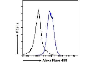 (ABIN238631) Flow cytometric analysis of paraformaldehyde fixed A549 cells (blue line), permeabilized with 0. (EPB41L5 anticorps  (Internal Region))