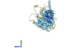 AlphaFold protein structure predicition of Human Recombinant FAAP100 Protein, UniprotID Q0VG06