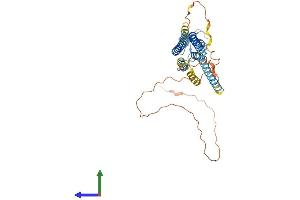 AlphaFold protein structure predicition of Mouse Recombinant Gja5 Protein, UniprotID Q01231