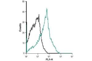 Cell surface detection of NK1 receptor in MEG-O1 living cells: (black line) Unstained cells.