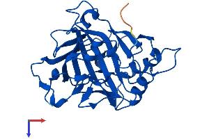 AlphaFold protein structure predicition of Mouse Recombinant Ca7 Protein, UniprotID Q9ERQ8