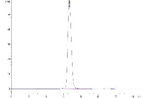 The purity of Cynomolgus HLA-G Complex Tetramer is greater than 95 % as determined by SEC-HPLC.