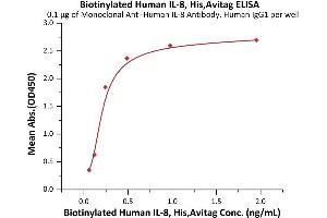 Immobilized Monoclonal A IL-8 Antibody, Human IgG1 at 1 μg/mL (100 μL/well) can bind Biotinylated Human IL-8, His,Avitag (ABIN6992354) with a linear range of 0.