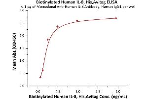 Immobilized Monoclonal A IL-8 Antibody, Human IgG1 at 1 μg/mL (100 μL/well) can bind Biotinylated Human IL-8, His,Avitag (ABIN6992354) with a linear range of 0. (IL-8 Protein (AA 28-99) (His tag,AVI tag,Biotin))