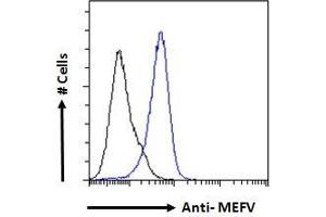 ABIN185451 Flow cytometric analysis of paraformaldehyde fixed A431 cells (blue line), permeabilized with 0.