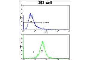 Flow cytometric analysis of 293 cells using ABCC5 Antibody (bottom histogram) compared to a negative control cell (top histogram). (ABCC5 anticorps  (AA 625-652))