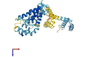 AlphaFold protein structure predicition of Human Recombinant DNAJC22 Protein, UniprotID Q8N4W6