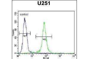 CCDC9 Antibody (N-term) (ABIN654741 and ABIN2844427) flow cytometric analysis of  cells (right histogram) compared to a negative control cell (left histogram).