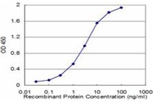 Detection limit for recombinant GST tagged PON1 is approximately 0.
