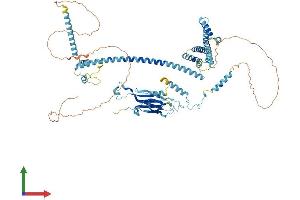 AlphaFold protein structure predicition of Human Recombinant CACTIN Protein, UniprotID Q8WUQ7