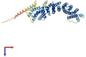 AlphaFold protein structure predicition of Human Recombinant TTI2 Protein, UniprotID Q6NXR4